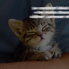 Voici le meilleur métier au monde