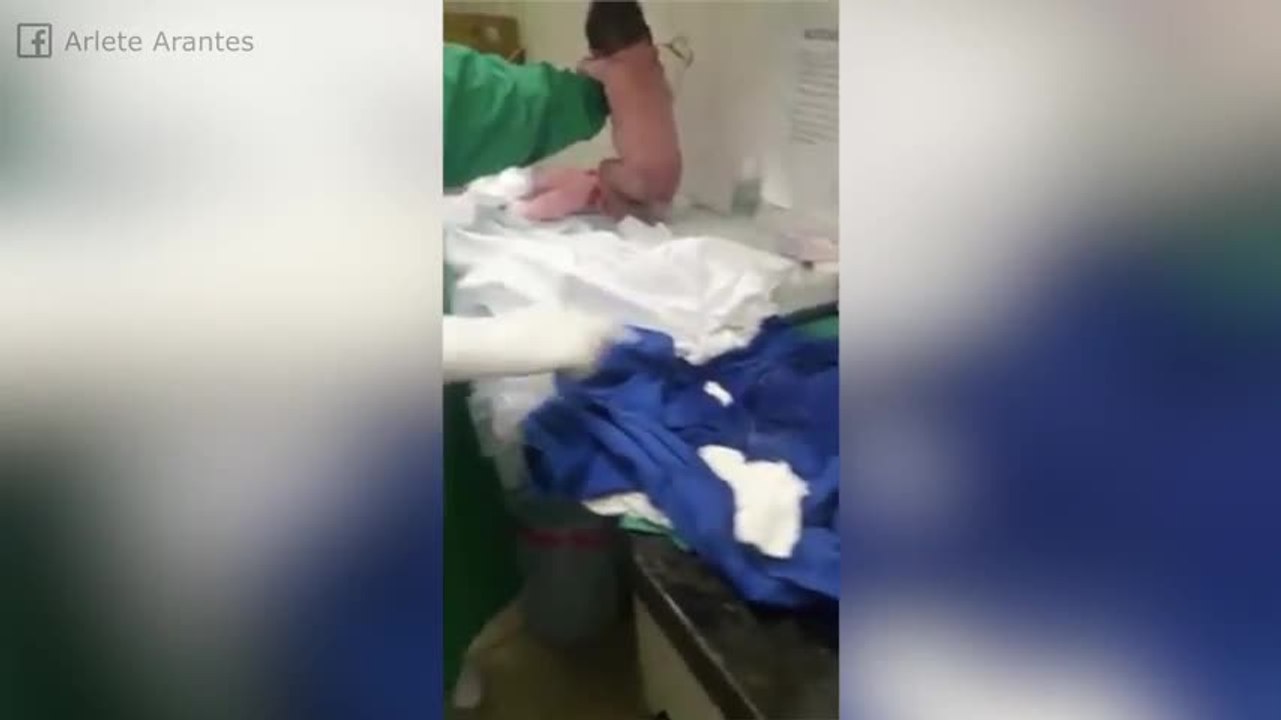 Il vient de naître... mais il sait déjà marcher !