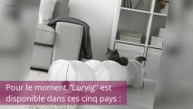 Ikea lance sa collection de meubles pour animaux !