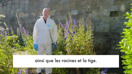 Seriez-vous capable d'entrer dans ce jardin surprenant