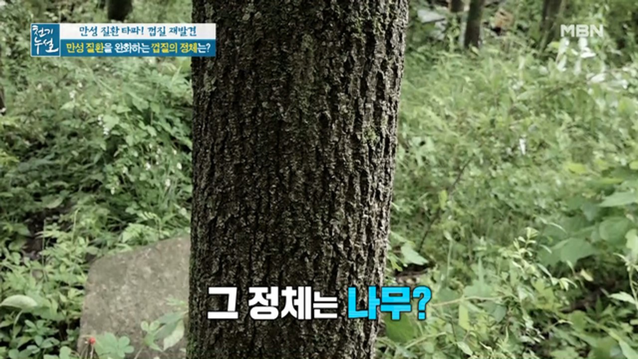 산 넘고 물 건너~ 만성 질환 완화하는 껍질의 정체는?