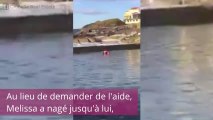 Cette femme attrape à mains nues un requin infiltré dans une piscine !
