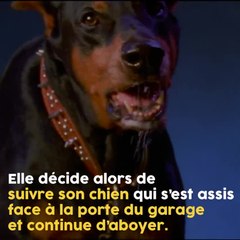 Ce chien a sauvé toute une famille !