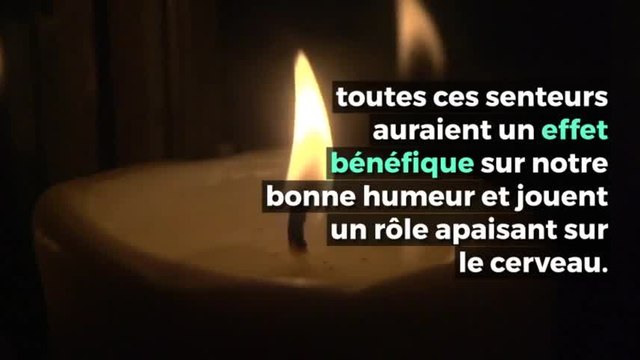 Scientifiquement prouvé : 5 choses à avoir chez soi pour être heureux