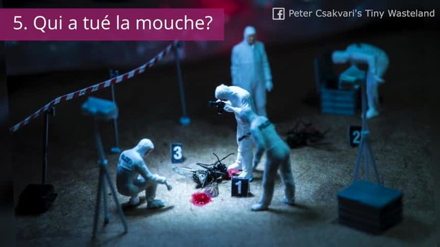 Il crée des mini mondes avec des objets du quotidien