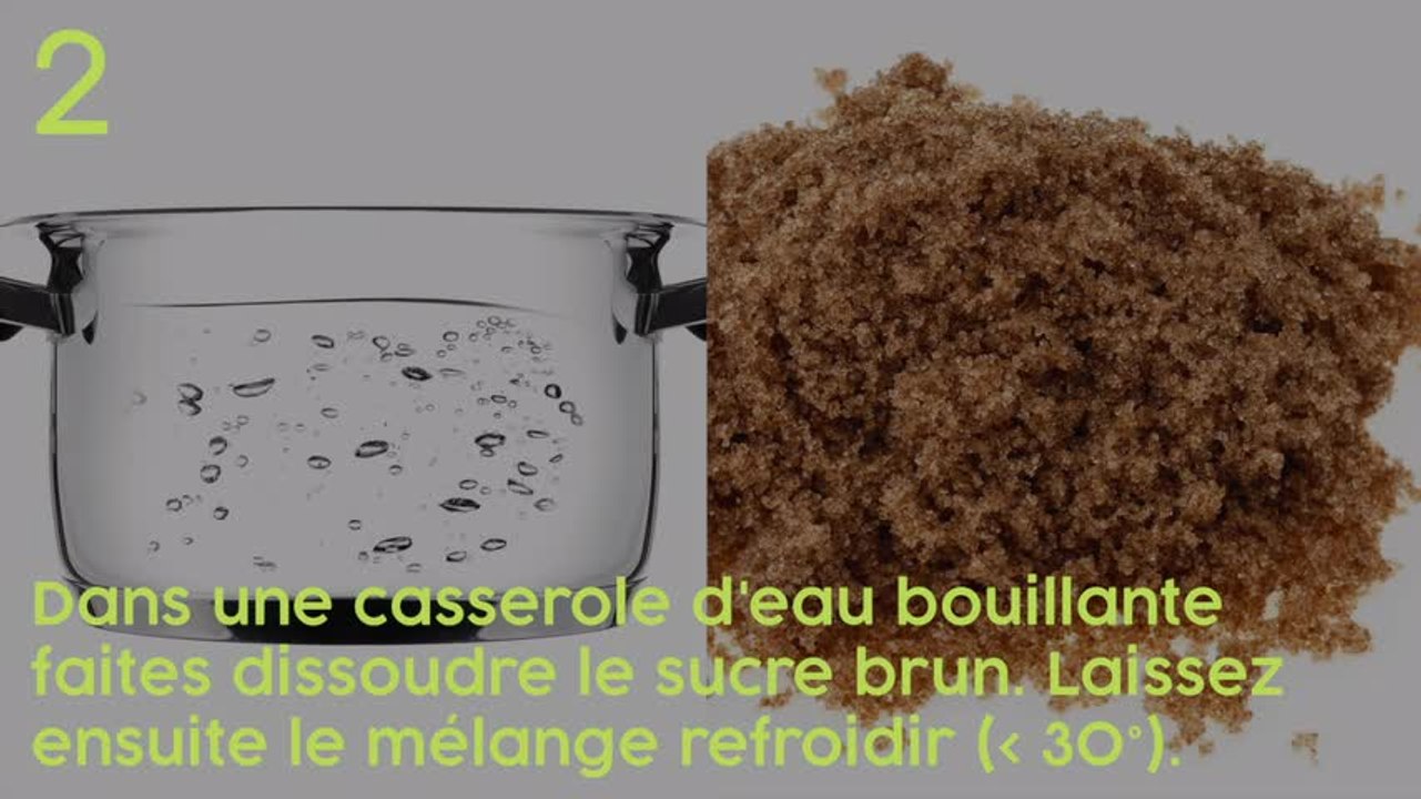 ENFIN : découvrez LE piège à moustique qui marche REELLEMENT