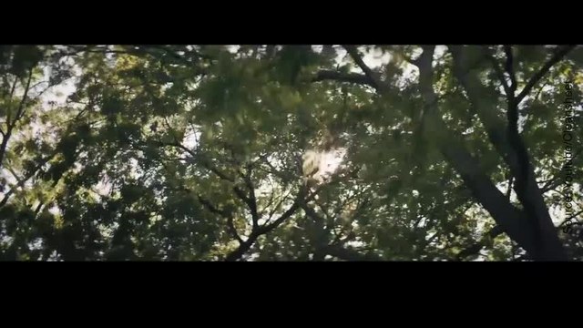 Ces enfants font une chose extraordinaire pour leur ami handicapé