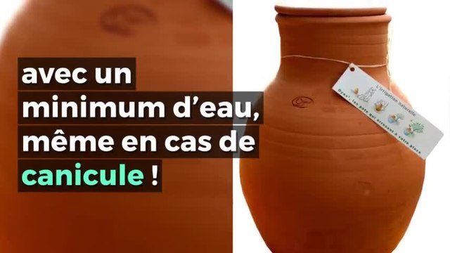Avec cette astuce, plus la peine d'arroser vos plantes pendant très lo