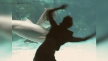 FR_170811-04-dolphin-loves-acrobat-bigsc