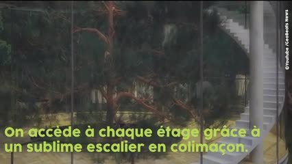 Hallucinant : cet architecte crée une maison en verre dans la forêt !