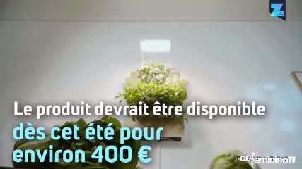 Herbert, le mini-potager pour votre appartement !