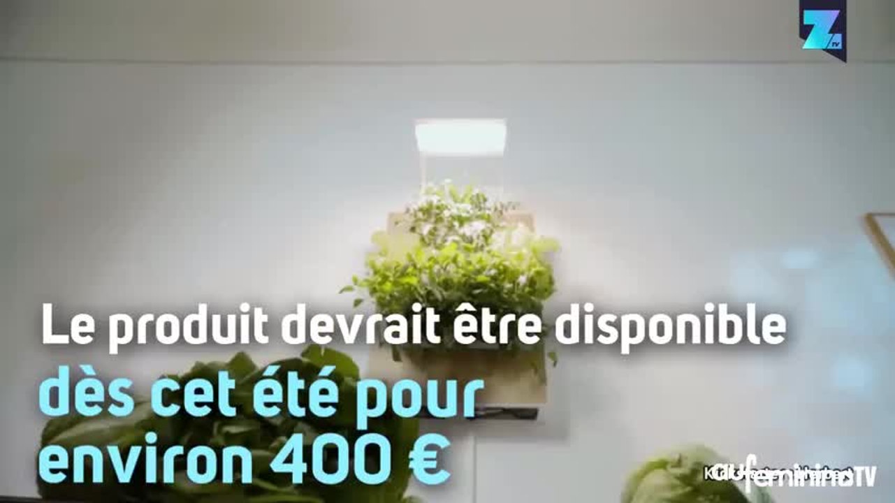 Herbert, le mini-potager pour votre appartement !