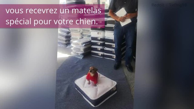 10 concepts de magasins que les clients ont adorés