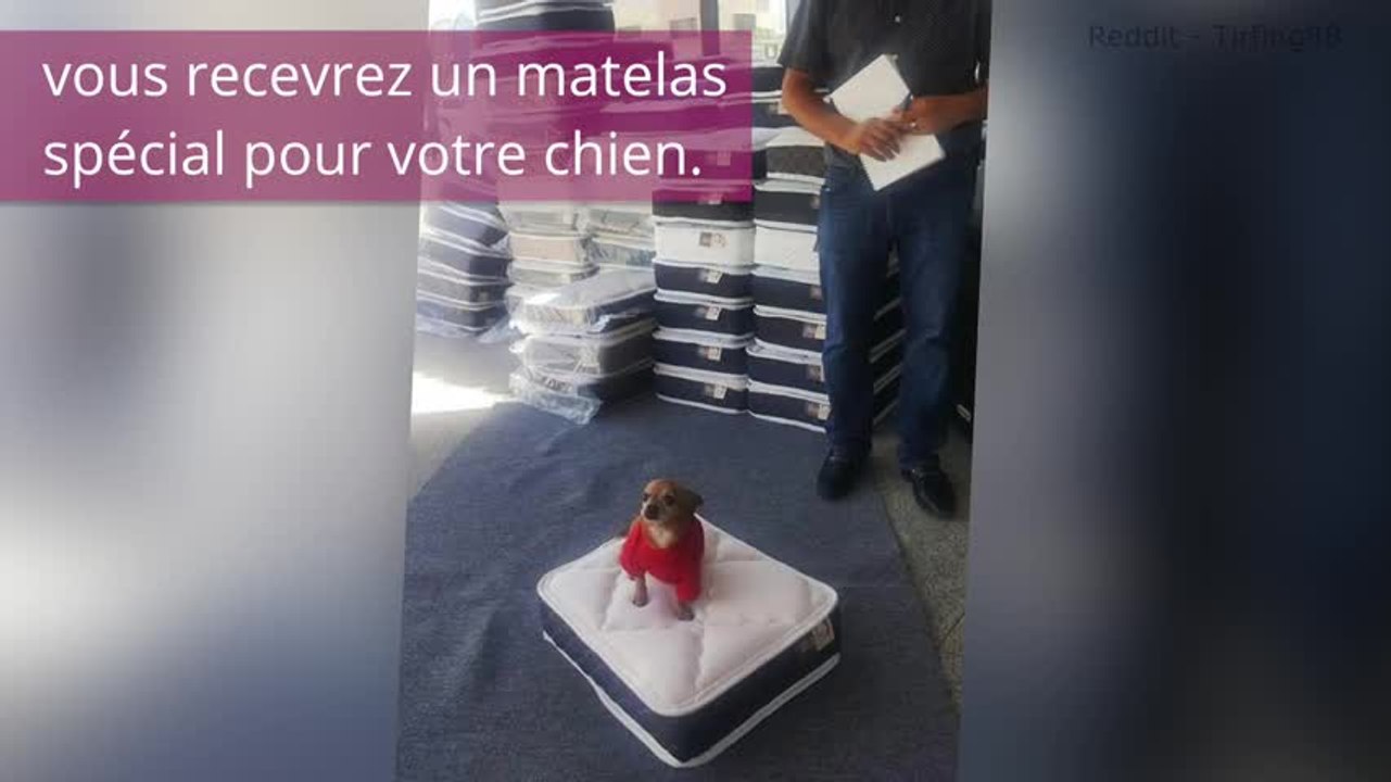 10 concepts de magasins que les clients ont adorés