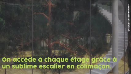 Hallucinant : cet architecte crée une maison en verre en plein milieu de la forêt  !