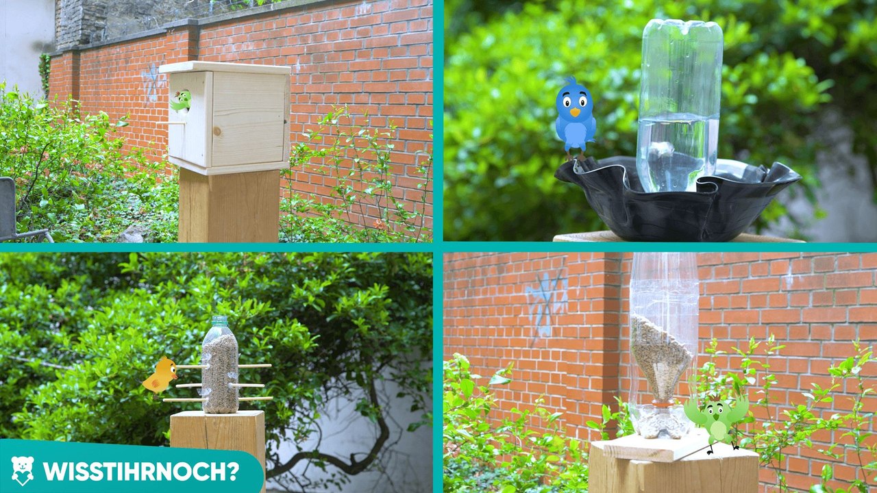 4 DIY-Projekte für alle, die Vögel lieben!