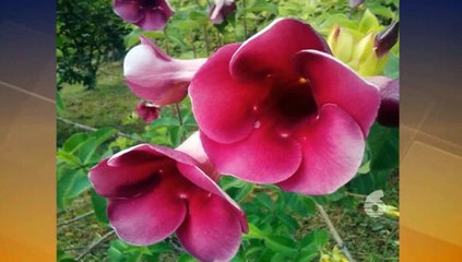 Headlines - 25th June, 2021