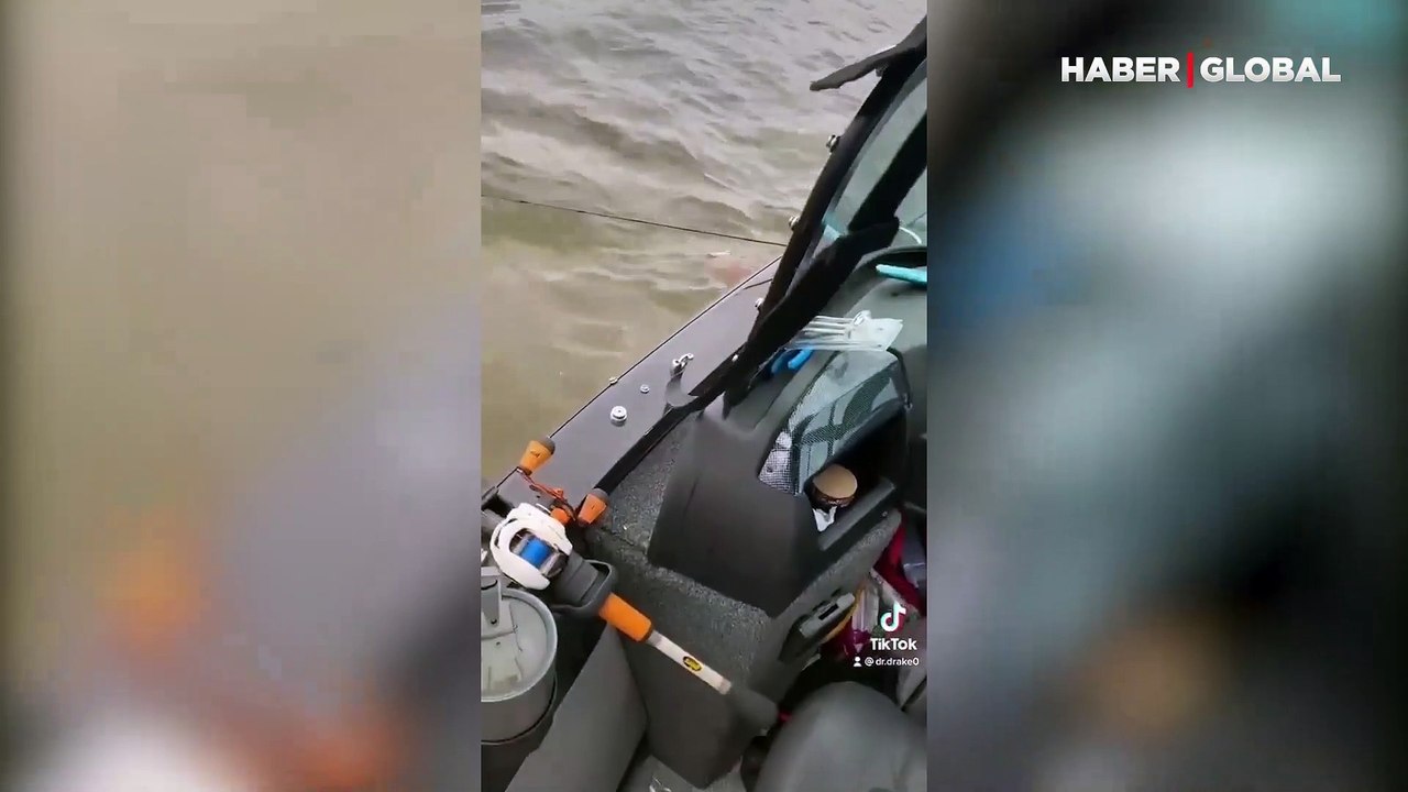 Balıkçılar ağlara takılan yavru geyiği böyle kurtardı