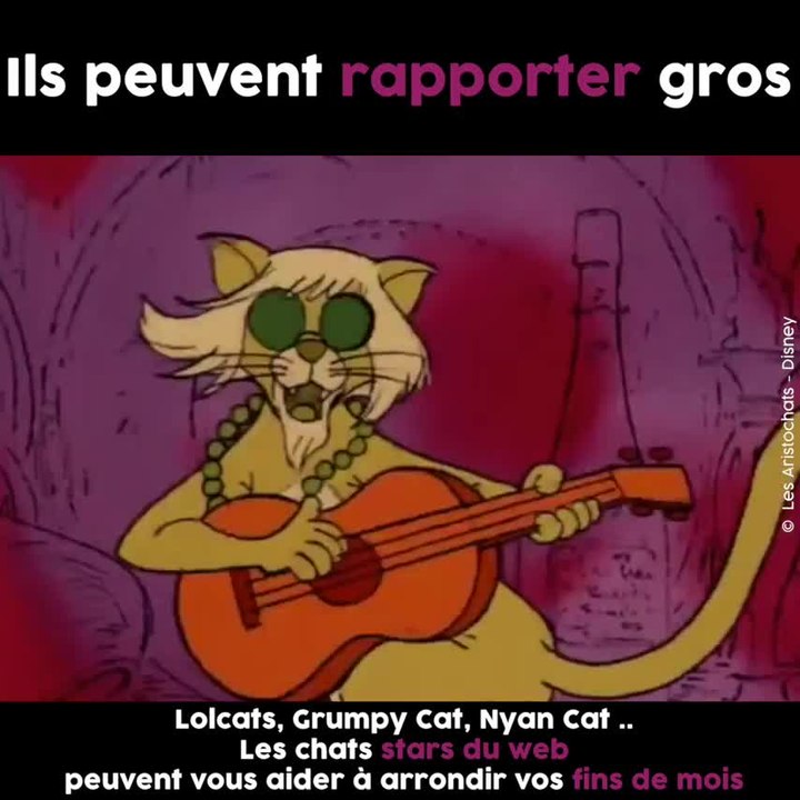 5 bonnes raisons d'adorer les chats