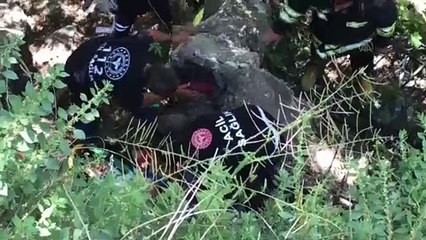 BAYBURT - Nehir kenarına düşen otomobil, duvar ile ağaç arasına sıkıştı: 2 yaralı