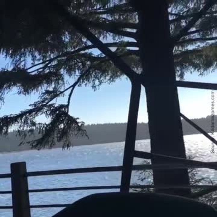 On rêve d'avoir cette balançoire dans notre jardin