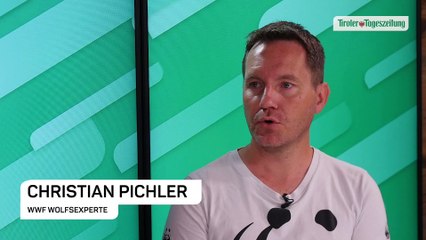 TT-Studio: „Wenn man einen Wolf abschießt, kommt der nächste“