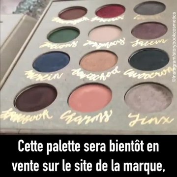 Découvrez la palette de fards à paupières Harry Potter