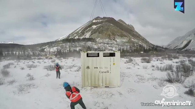 Au Canada, les bisons sont relogés par hélicoptère