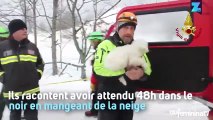 Avalanche en Italie : 3 chiots retrouvés vivants