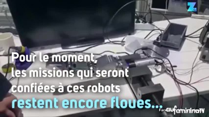 Le robot futuriste d’Avatar et de Matrix existe bien !