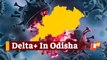 Big Breaking: Odisha Sees First Case Of DELTA PLUS Variant Of Covid-19