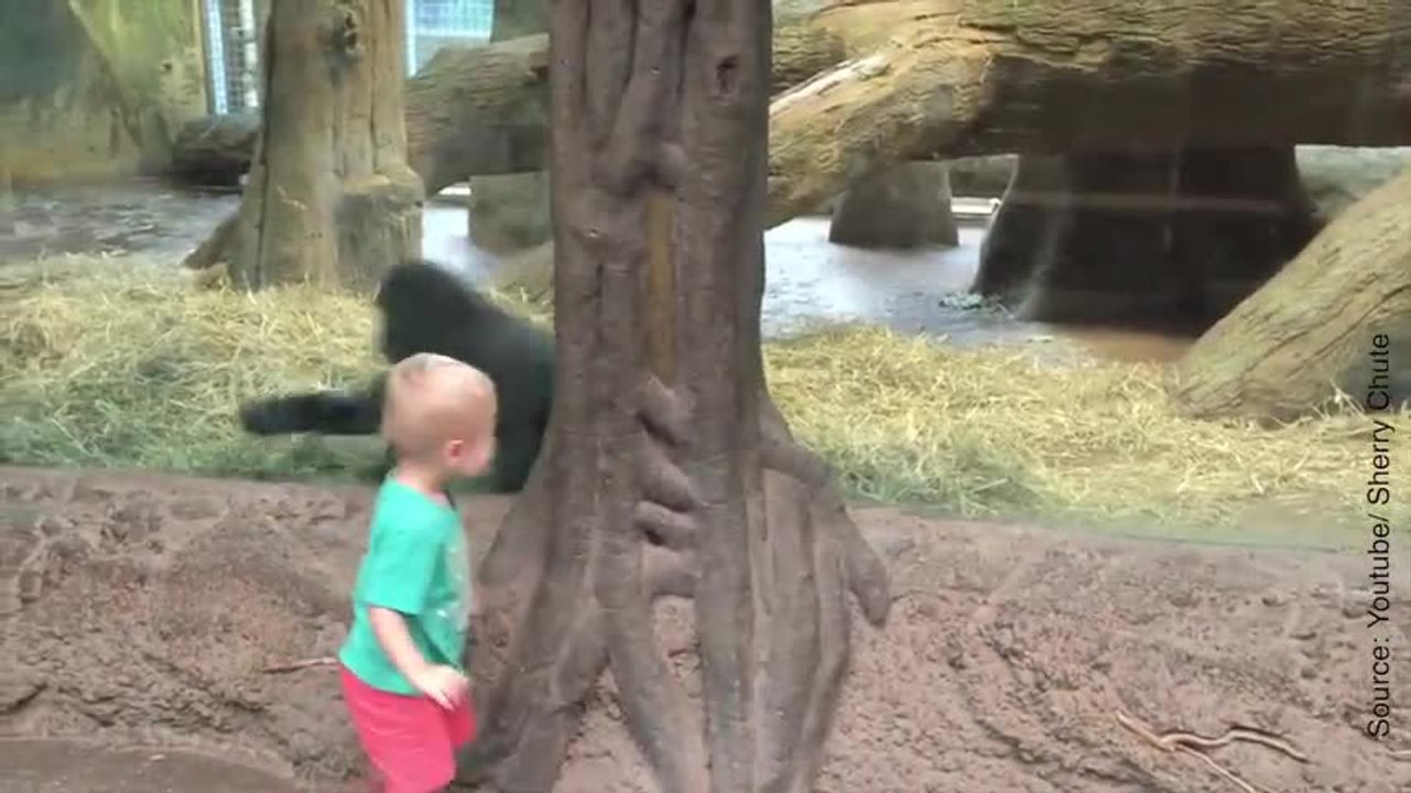 Un enfant joue à cache cache avec un singe
