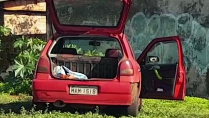 Equipes da Guarda Municipal atendem ocorrência no Bairro Cataratas