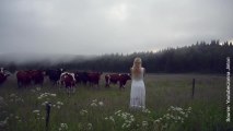 Une Suèdoise attire un troupeau de vaches avec un chant traditionnel