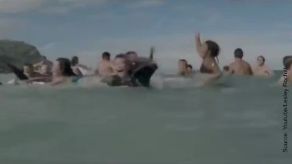 Les chaises tuent plus que les requins