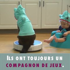Les enfants doivent grandir avec des animaux