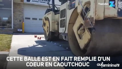 Seule elle peut résister à un rouleau compresseur !