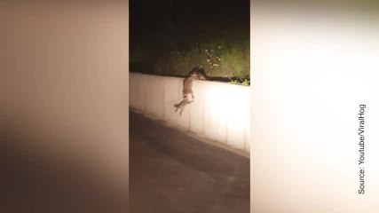 Ça, c’est qu’on appelle de la solidarité !