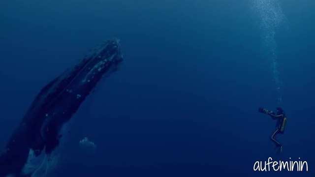 Audrey Tautou nous parle du film L'Odyssée