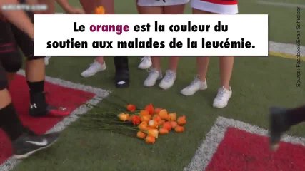 Atteinte d'une leucémie, elle reçoit le soutien de son équipe de foot