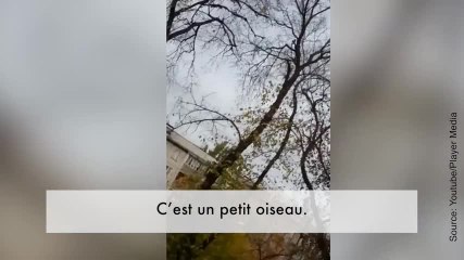 Ce chat est hyper concentré !