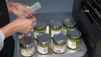 Antep fıstığının katma değerleri artıyor