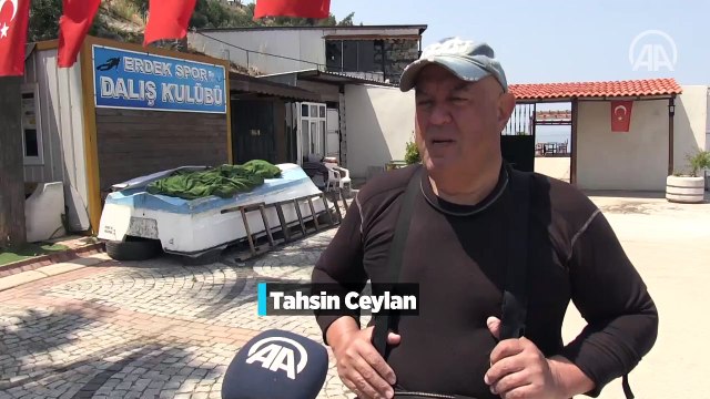 Su altı belgesel yapımcısı Ceylan müsilajın deniz dibinde neden olduğu tahribatı görüntüledi