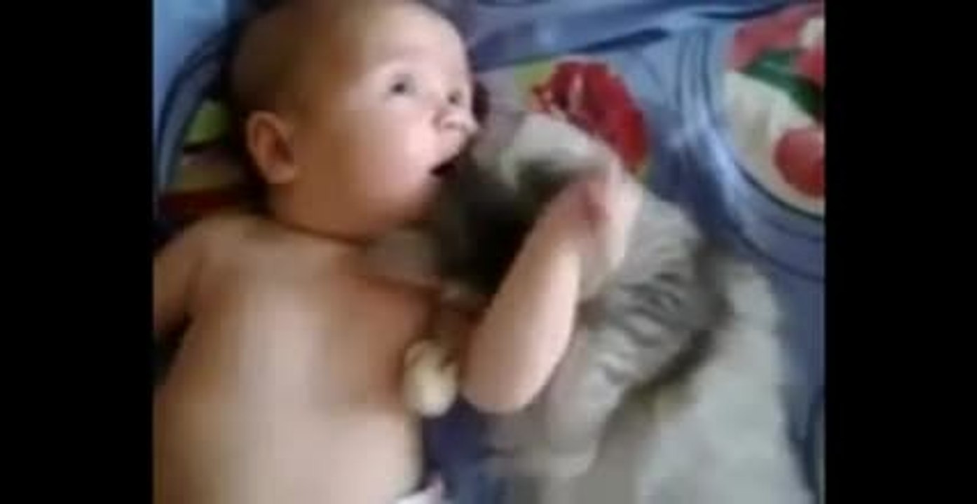 Moment tendresse entre un bébé et un chaton.