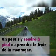 Une descente en luge exceptionnelle en Suisse