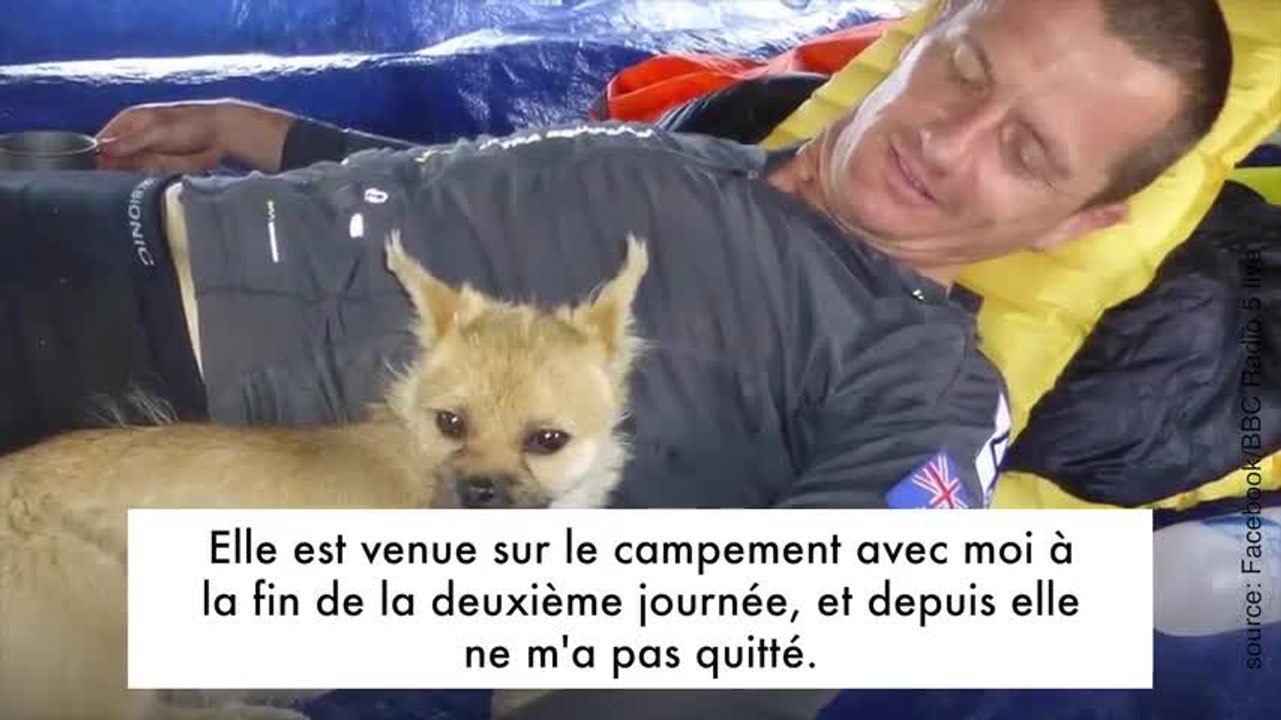 Ce chien a suivi un coureur sur 125 kilomètres