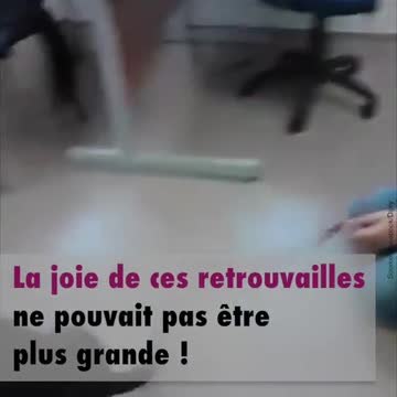 Elle retrouve son chien après 2 mois d'absence