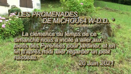 LES PROMENADES DE MICHOU64 W-D.D. - 20 JUIN 2021 - PAU - UN DIMANCHE APRÈS MIDII À LA CAMPAGNE