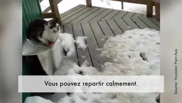 Tiens, de nouveaux invités !