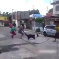 Un chien fait de la corde à sauter avec des enfants